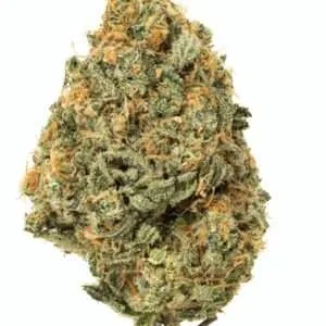 Cherry Diesel, also known as "Cherry Turbo Diesel," is a well-balanced hybrid marijuana strain created by crossing Cherry OG and Turbo Diesel.