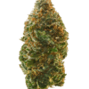 99 Problems is a weed strain. Reviewers on Leafly say this strain makes them feel creative, energetic, and focused. 99 Problems has 21% THC