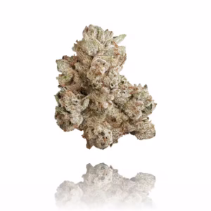 XXX OG strain, made from a genetic cross of OG Kush and XXX, is an indica that took 1st place in the 2014 Los Angeles Cannabis Cup. Bred by Maven Genetics,...