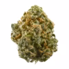 Caribbean Dream strain is a rare indica dominant hybrid strain (70% indica/30% sativa) created through an unknown combination of other indica heavy hybrid..
