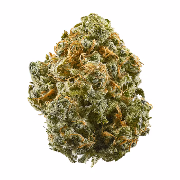 Blue Dream strain is a slightly sativa dominant hybrid (60% sativa/40% indica) strain that is a potent cross between the hugely popular Blueberry X Haze strains.