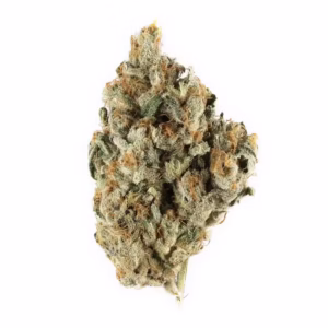 THC: 20%, CBN: 2%. Blackberry Kush strain is an indica strain. The strain is incredibly potent, especially considering its 20% THC content offering an amazing high.