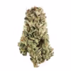 Whoa Si Whoa is an indica-dominant hybrid strain, created by crossing Do-Si-Dos with The White. It has a high THC content ranging from 21% to 30%, suitable for experienced users
