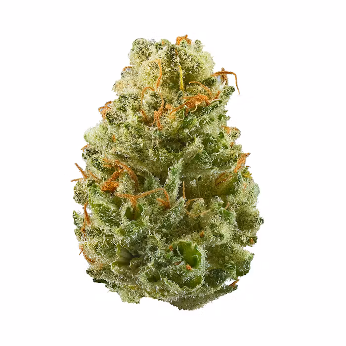 Strawberry Cough strain is a sativa-dominant hybrid with a sweet and fruity aroma and flavour. It offers uplifting and euphoric effects, but may cause...