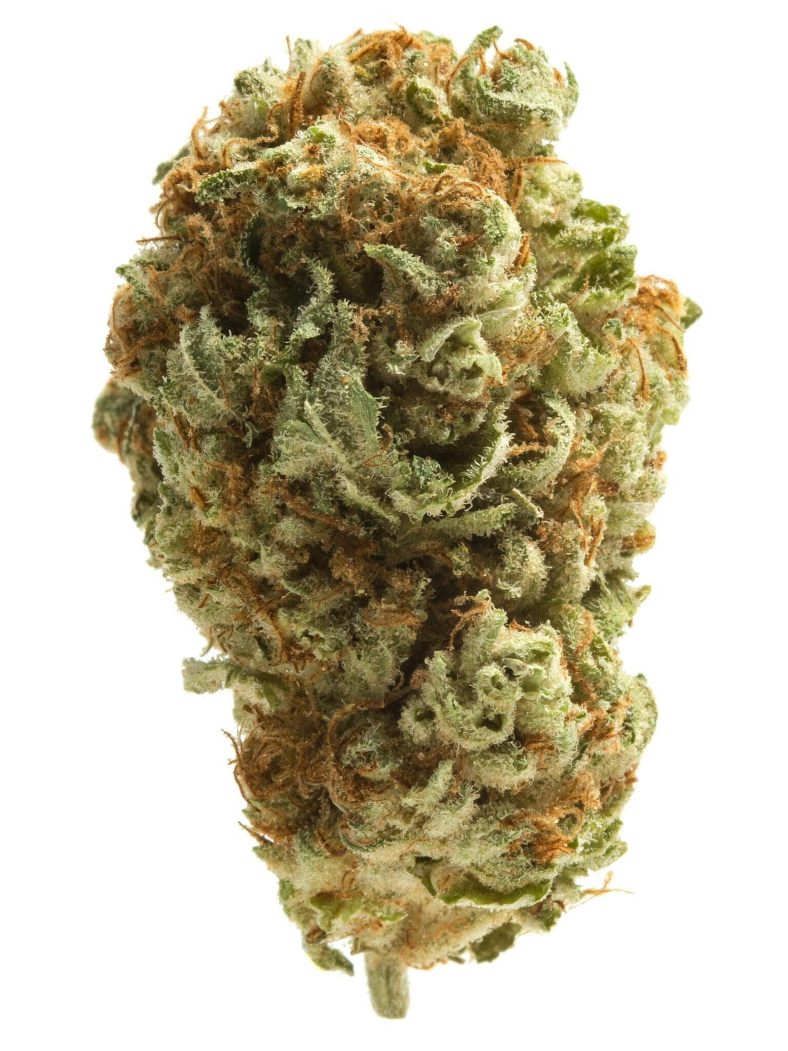 Buy Tropaya strain – an indica-dominant hybrid with citrus, caramel, and berry flavor. Euphoric, calming, and perfect for stress, pain, and mood relief.