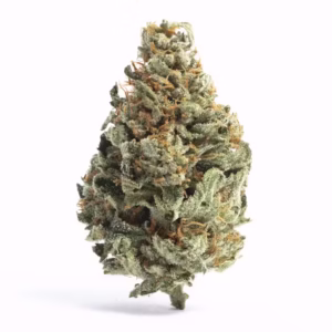 Shop Tropical Runtz strain online – a fruity indica hybrid with candy flavors, uplifting energy, and relaxing effects. Available now for delivery