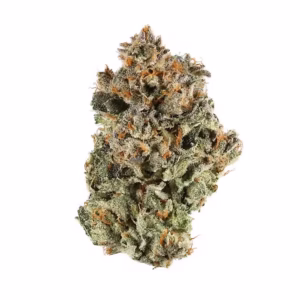 Buy Sunset Sherbet strain – a premium hybrid with sweet, fruity flavors and relaxing effects. Perfect for stress relief and evening enjoyment