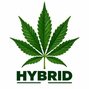 hybrid strains